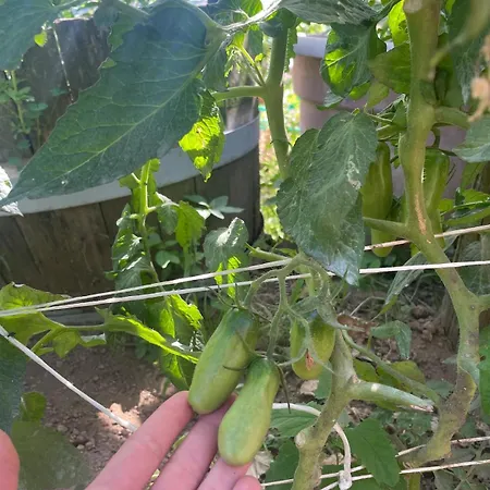 Sea&mountains View Lägenhet Pianillo