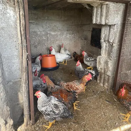 Sea&mountains View Pianillo