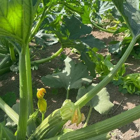 Lägenhet Sea&mountains View Pianillo