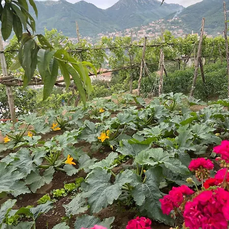 Sea&mountains View * Pianillo