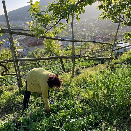 Sea&mountains View Lägenhet